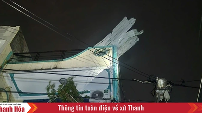 Počáteční škody způsobené bouří č. 13 v Gia Lai, Dak Lak, Quang Ngai