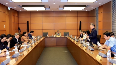 No dia 7 de novembro, a Assembleia Nacional continuou a debater, no plenário e em grupos, os projetos de lei.