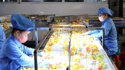 ឧស្សាហកម្ម Hai Phong បង្កើនល្បឿន IIP ក្នុងរយៈពេល 10 ខែកើនឡើងជាង 15%