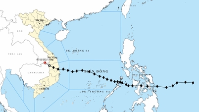 Thời tiết ngày 7/11: Bão số 13 tan trên đất liền, miền Trung vẫn mưa lớn