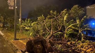 Laatste nieuws over storm nummer 13, zware regenval van Thanh Hoa tot Da Nang