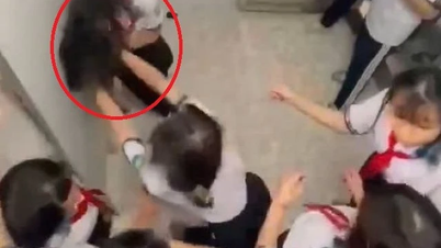 המקרה של תלמידה בכיתה ח' שהוכתה בשירותים: 3 צלעות שבורות