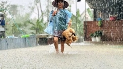 Погода 7 листопада: Сильні дощі в Центральному регіоні