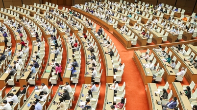 국회는 계획 분야의 법안 초안을 논의했습니다.