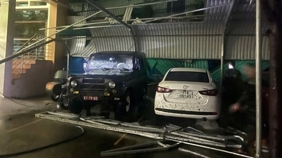 Scenen av förödelse och ödeläggelse efter storm nummer 13