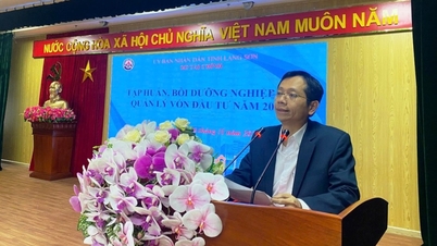 El Departamento de Finanzas organizó una conferencia de capacitación para fomentar las habilidades de gestión de capital de inversión en 2025.