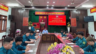 Innovar y mejorar la calidad de las actividades de las células del Partido