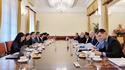 Het 12e consulaire consult tussen Vietnam en Rusland: uitgebreid en inhoudelijk