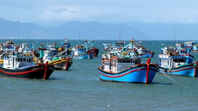 Ho Chi Minh-staden: Strikt hantering av flottor, stopp för olagliga fiskeförseelser