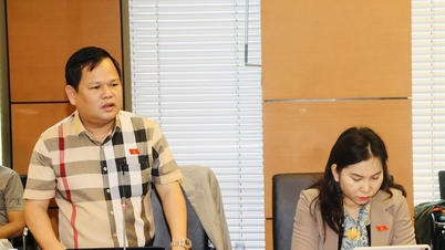 Đoàn đại biểu Quốc hội tỉnh Cà Mau góp nhiều ý kiến cụ thể cho Luật Chuyển đổi số
