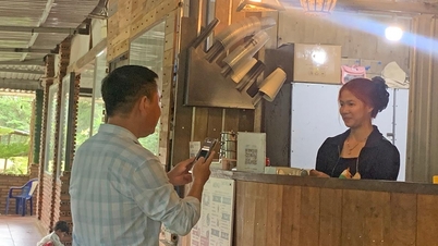 Nông dân lên... "sàn”