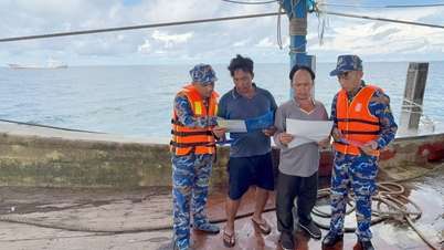 Vietnam is ready to cooperate with the international community and share experiences in combating IUU fishing.