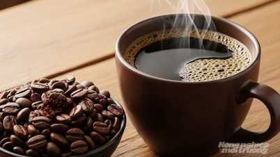 Giá cà phê hôm nay 7/11/2025: Quay đầu giảm sâu