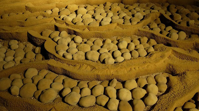 Bí ẩn về sự hình thành của những 'viên ngọc’ trong hang động lớn nhất thế giới Ngọc hang động