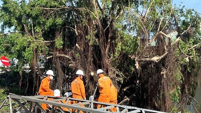 Ponad 1,6 miliona odbiorców straciło prąd w wyniku sztormu nr 13.
