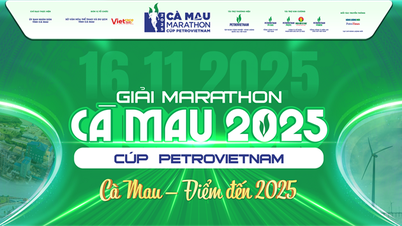 Tổ chức Giải Marathon – Cà Mau 2025 Cúp PETROVIETNAM 