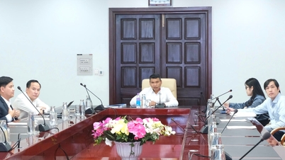 Đà Nẵng thúc đẩy hợp tác với Tập đoàn Revolut (Vương quốc Anh)