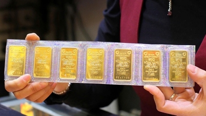 Пан Фан Ван Май розглядає можливість запровадження податку на передачу золотих злитків