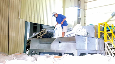 Industrial production index in October increased by nearly 4.5%