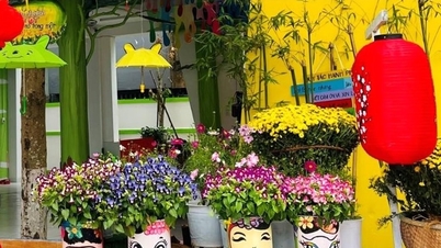 Šíření modelu zelené školy