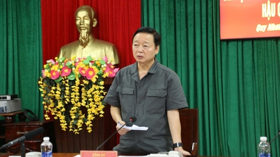 Vice premiärminister Tran Hong Ha: Provinserna har gjort ett bra jobb med förebyggande åtgärder, insatser och räddningsinsatser före, under och efter storm nr 13.