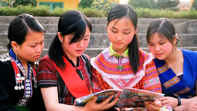 تحسين جودة برامج التدريب التحضيري للجامعة