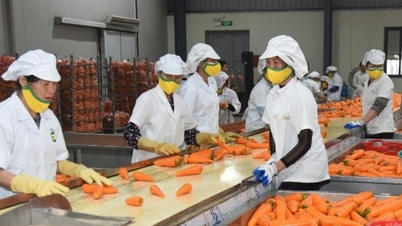 Новые ожидания от фруктовой и овощной промышленности