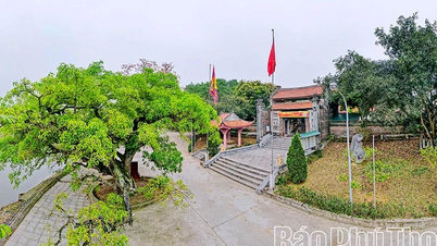 Der Ort, um Lam Sons heldenhaften Geist zu bewahren