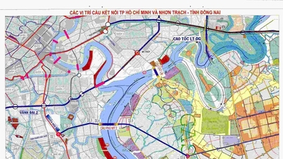 Orașul Ho Și Min aprobă studiul podului Phu My 2 cu un capital de peste 12.900 miliarde VND