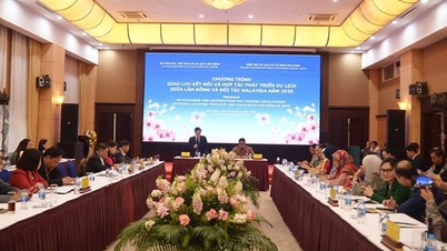Cooperation in developing Halal tourism between Lam Dong province and Malaysia