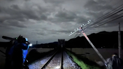 Khanh Hoa : La ligne ferroviaire Nord-Sud devrait être rétablie vers 22h00 le 25 novembre.