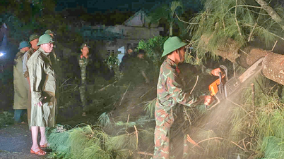 Gia Lai tartományi fegyveres erők: Az éjszaka folyamán megmetszették és eltakarították a kidőlt fákat, és megtisztították az 1A főutat.