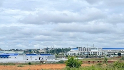 Các khu công nghiệp ở Lâm Đồng thu hút được 13 dự án đầu tư