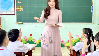 المعلمون الفيتناميون يقودون القدرة على التحول الرقمي والاحترام الاجتماعي