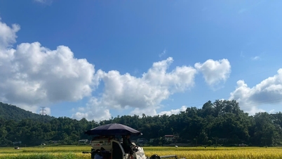 Thai Nguyen, pratik yaklaşımlarla yoksulluğu sürdürülebilir bir şekilde azaltıyor