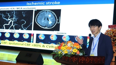 أكثر من 100 تقرير علمي في المؤتمر الدولي لجراحة الأعصاب الأقل تدخلاً في دا نانغ