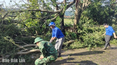 قامت بلدية هوا شوان ومنطقة دونج هوا بتنظيف الأشجار المتساقطة بشكل عاجل بعد العاصفة.