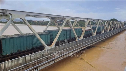 Las inundaciones arrasaron el tramo ferroviario Norte-Sur que atravesaba Dak Lak y Gia Lai.