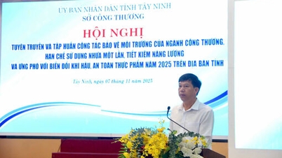 الدعاية والتدريب على حماية البيئة في قطاع الصناعة والتجارة