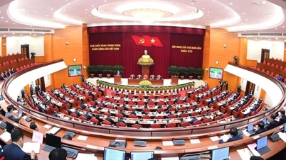 លោក Tran Sy Thanh ត្រូវ​បាន​បោះឆ្នោត​ជ្រើសរើស​ឲ្យ​កាន់​តំណែង​ជា​ប្រធាន​គណៈកម្មការ​អធិការកិច្ច​មជ្ឈិម​ទី ១៣។