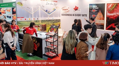 Vimex Food ร่วมมือกับสมาคมเนื้อวัวแคนาดาเพื่อเข้าร่วมงานนิทรรศการ Vietfood & Beverage Hanoi 2025