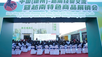 Ministerstwo Przemysłu i Handlu organizuje szereg działań mających na celu promocję handlu, inwestycji i promocję unikalnych produktów wietnamskich w prowincji Shandong (Dezhou) w Chinach.