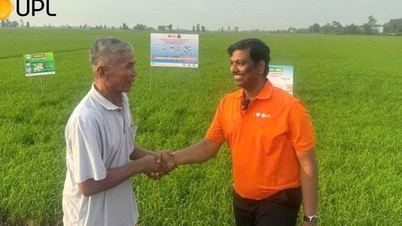 اتحاد نیروها برای کشاورزی سبز، مدرن و پایدار