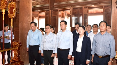 ຄະ​ນະ​ຜູ້​ແທນ​ເຮັດ​ວຽກ​ຂອງ​ຄະ​ນະ​ພັກ​ອົງ​ການ​ສູນ​ກາງ​ພັກ​ໄດ້​ກັບ​ຄືນ​ປະ​ເທດ​ຕາ​ເວັນ​ຕົກ