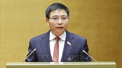 Nâng cao tính ổn định và phân cấp, phân quyền trong công tác quy hoạch