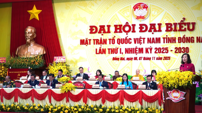 Dong Nai: Promovendo o papel da Frente da Pátria Vietnamita na construção de uma grande unidade nacional.
