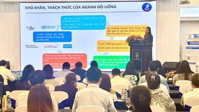 Ho Chi Minh-byen: Diskusjon av grønne utviklingsløsninger for Vietnams drikkevareindustri