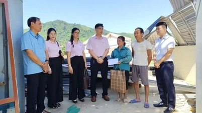 Improving the quality of social policy credit in Tuyen Quang area