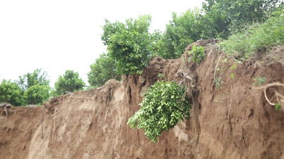 Tri Qua 구역 Duong 강 우안 산사태 원인 조사 및 평가