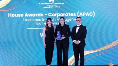 VitaDairy se enorgullece de recibir un premio internacional por su transformación digital.